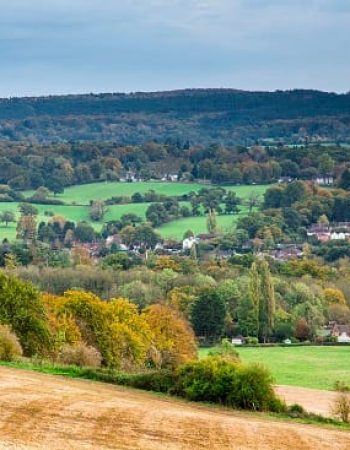 Shere Parish Council