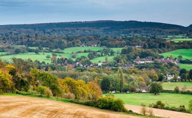 Shere Parish Council